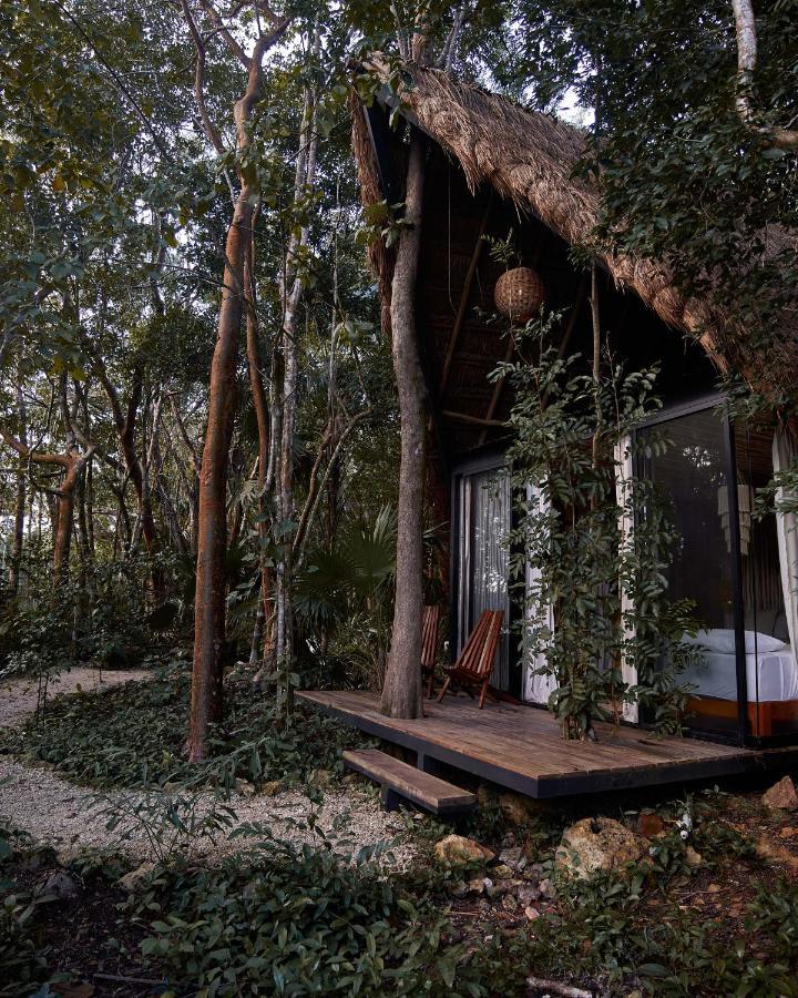Kapok Bacalar - Plant Based Hotel Buenavista  Dış mekan fotoğraf