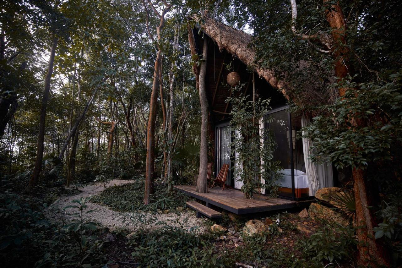 Kapok Bacalar - Plant Based Hotel Buenavista  Dış mekan fotoğraf